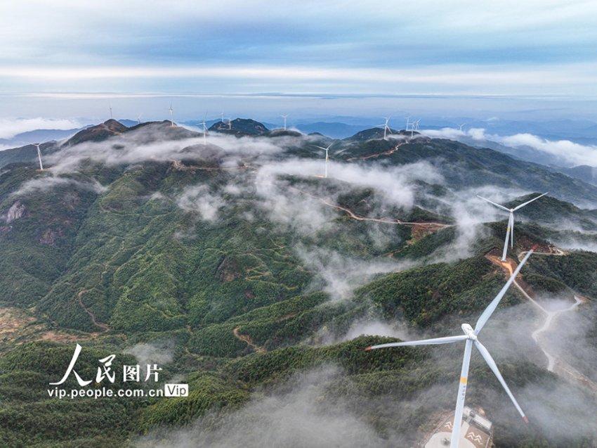 免费！留坝发放果树苗 甜到村民心坎上